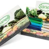JOLLY SCATOLA 50 PZ. 10 COLORI